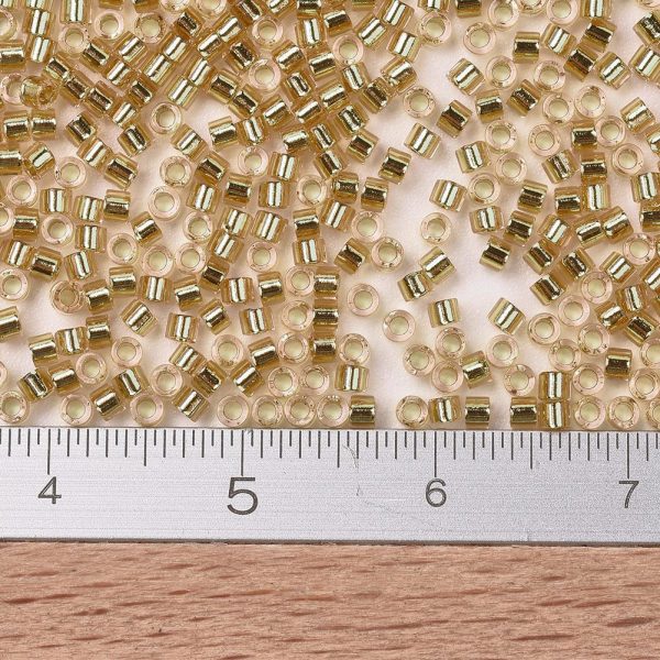 X SEED J020 DB2521 2 MIYUKI Delica 11/0 DB2521 Transparent Gold Lined Crystal Seed Beads, 10g/Bag